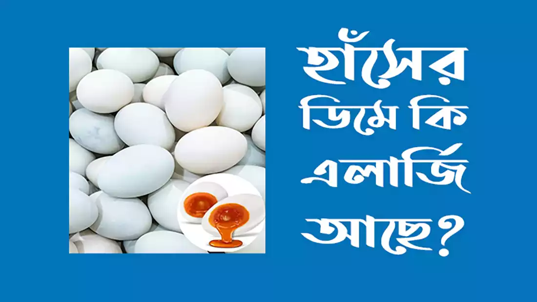 হাঁসের ডিমে কি এলার্জি আছে